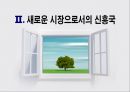 신흥국시장의 기회와 위협 13페이지