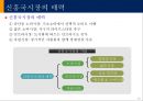 신흥국시장의 기회와 위협 14페이지