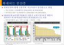 신흥국시장의 기회와 위협 16페이지