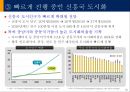 신흥국시장의 기회와 위협 19페이지