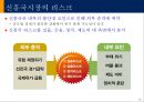 신흥국시장의 기회와 위협 24페이지