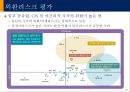 신흥국시장의 기회와 위협 27페이지