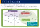 신흥국시장의 기회와 위협 28페이지