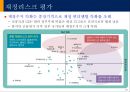 신흥국시장의 기회와 위협 29페이지