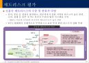 신흥국시장의 기회와 위협 39페이지