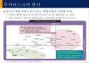 신흥국시장의 기회와 위협 40페이지