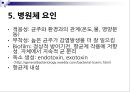 중환자실 감염관리 28페이지