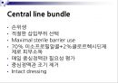 중환자실 감염관리 42페이지
