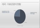 의료 관광 마케팅 16페이지