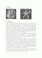 [동서협진과 CASE] CB-Infarction으로 인한 편측 마비로 의심되는 남환 1례 2페이지