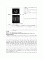[동서협진과 CASE] 고열을 주소로 하는 남환 1례 2페이지