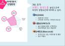SPA 브랜드 경쟁전략SPA브랜드 마케팅SPA브랜드 사례SPA브랜드 산업환경SPA브랜드 시장 7페이지