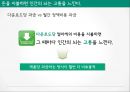 소비자행동 돈이란돈 마케팅적 교훈비용지불 심리소비 뇌의상태물건구매 비용지불 13페이지