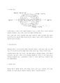 공유압 report 5페이지
