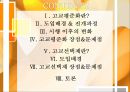 고교평준화  고교선택제고교평준화란고교평준화 장점&문제점고교선택제란고교선택제 장점&문제점 2페이지
