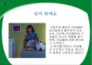 여성 정체성의 위기프로이트의 성적 유아론기능주의적 고착 여성성 주장 마가렛미드비인간화 11페이지
