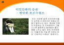 여성 정체성의 위기프로이트의 성적 유아론기능주의적 고착 여성성 주장 마가렛미드비인간화 15페이지