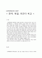 [사회과학]GAPMINDER MAP에서 GDP를 이용하여 나라별로 비교한 자료 1페이지