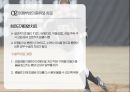 재활의학야구선수의 부상어깨부상의 종류와 치료어깨부상의 재활팔꿈치부상의 치료팔꿈치부상의 재활선수재활의 고충 10페이지