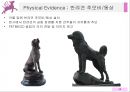 애견 장례 업체반려동물시장반려동물 서비스마케팅동물 장례업이란브랜드마케팅서비스마케팅글로벌경영사례분석 58페이지