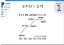 중국의 경제성장 원동력중국의 경제성장 원인중국의 경제성장 정부정책중국의 경제성장 문제점중국의 경제성장 비교분석중국의 경제성장 경제학자 4페이지