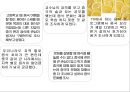 중국의 음식문화중국의 주식중국 대표요리 중국 요리문화중국 지역별 요리 4페이지