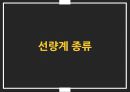 dosimeter 특성 및 사용방법 11페이지