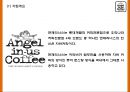 엔제리너스 성공요인과 서비스분석및 엔제리너스 마케팅 SWOTSTP7P전략분석및 엔제리너스 향후나아갈 방향제시 PPT 5페이지
