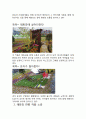 태화강 정원박람회 답사 하기싫으신분 가져가요~~~ 2페이지