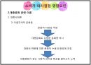 대중문화의 정의대중문화 관련 이론대중문화의 소비자외국의 대중문화대중문화의 영향력 9페이지