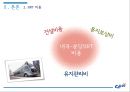 비용편익분석BRT를 중심교통체증서울특별시의 발전과 주택서울 교통체증분당의 교통체증신교통수단기존 교통수단 19페이지