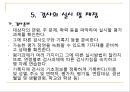 파라다이스 유창성 검사유창성 장애의 특성유창성장애 평가 목표비유창성 유형 분류 11페이지