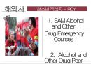 청소년 복지론청소년 약물 중독약물 중독 정부대책청소년 유해 환경 정화청소년 인터넷 중독 해소유해 약물 예방 치료약물남용 예방 교육 16페이지