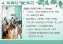 대안 학교 [유래 종류 특징 외국 사례 인가형 장점 단점] 9페이지