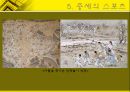 체육사 - 한국의 스포츠  [선사시대 부족국가시대 고대 중세 근대사회 현대사회] 11페이지