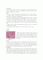 간호 사정 케이스 - 급성 세기관지염 & 폐렴 (Acute bronchiolitis pneumonia) 2페이지