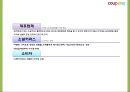 쿠팡의 성공요인과 소셜커머스 환경분석및 쿠팡 마케팅 4PSTPSWOT분석및 쿠팡 향후전략제시 PPT 10페이지