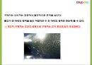 쿠팡의 성공요인과 소셜커머스 환경분석및 쿠팡 마케팅 4PSTPSWOT분석및 쿠팡 향후전략제시 PPT 11페이지