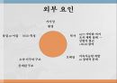 국제 환경 협상NGO의 영향력통념에 대한 문제제기분석틀 적용(영향력 지표 방법론)NGO 정치적 무대NGO 영향력 15페이지