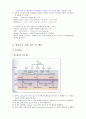 건강 다이어트및 비만 15페이지