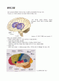 간호실습) 뇌경색신경재활신경재활과실습병원실습간호학과실습간호학과casestudy 19페이지