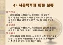 교육 재정론 [개념 기능 특성 구조] 17페이지