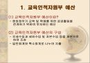 교육 재정론 [개념 기능 특성 구조] 20페이지
