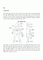 욕창(욕창의 병인 평가 욕창관리) 2페이지