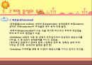 구개열 음성 조음 발성 공명의 특징 (음향학적 공기역학적) 3페이지