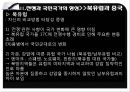 국민국가의 형성과 계보 14페이지