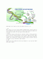 t RNA mRNA와 단백질 번역 4페이지