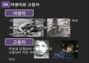 언어의 세계 - 언어습득 과정 23페이지