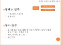 언어의 보편성 [특수성 소리 보편성 문법 보편성 함의적 보편성] 21페이지