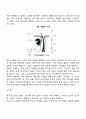 노년기 신체변화(노인의 신체적 변화) 6페이지